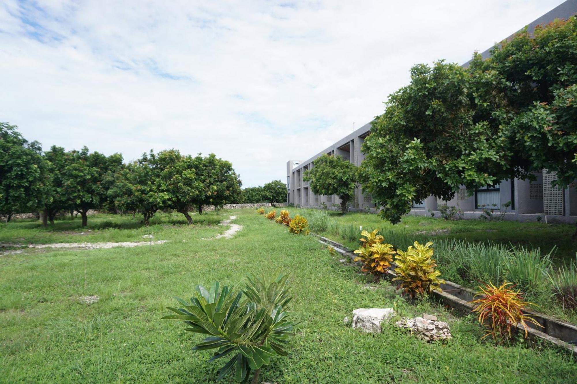 Kambaniru Beach Hotel And Resort Waingapu Exterior foto