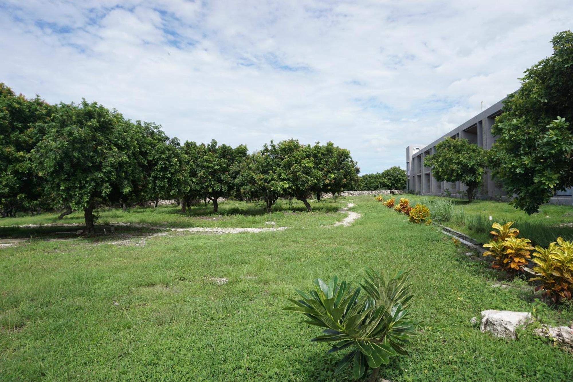 Kambaniru Beach Hotel And Resort Waingapu Exterior foto
